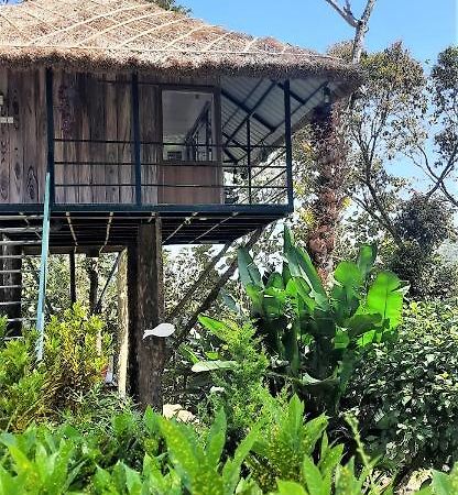 Appartement Noah'S Nest Tree House à Thekkady Extérieur photo