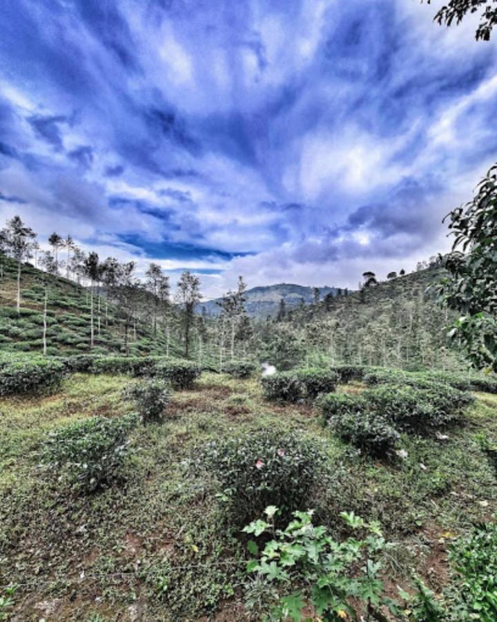 Appartement Noah'S Nest Tree House à Thekkady Extérieur photo