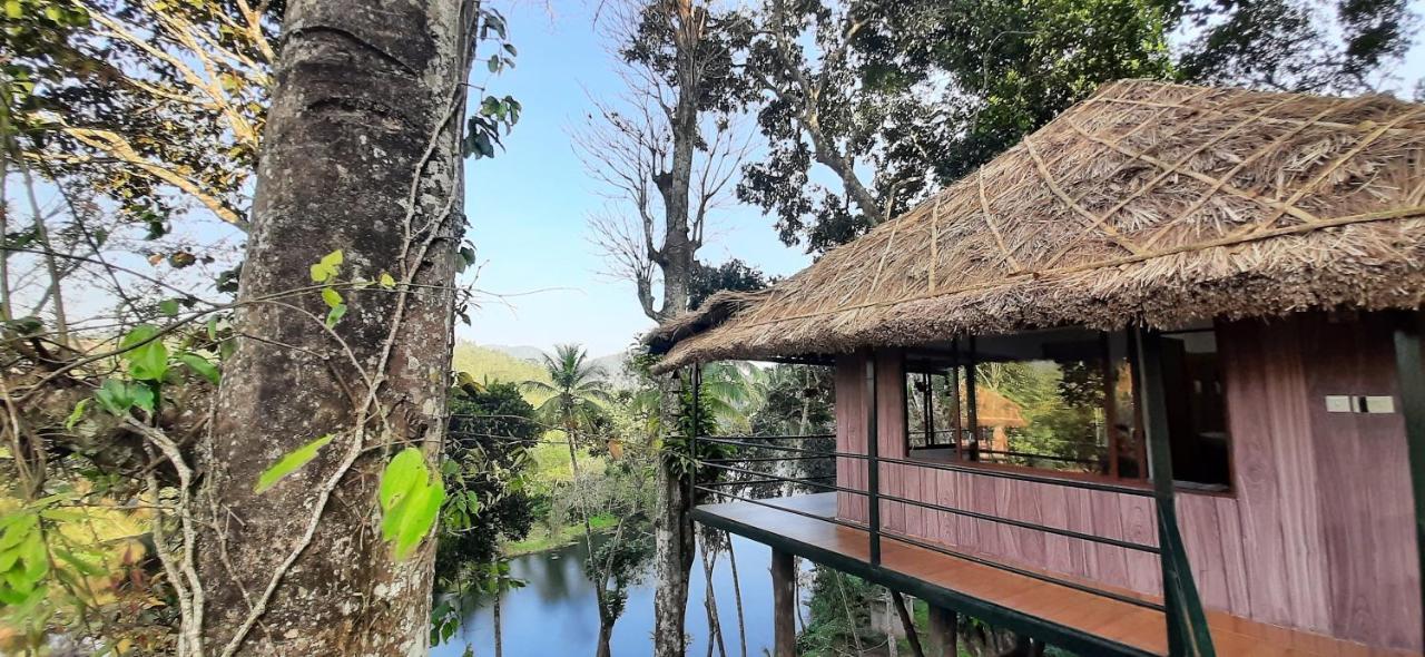 Appartement Noah'S Nest Tree House à Thekkady Extérieur photo