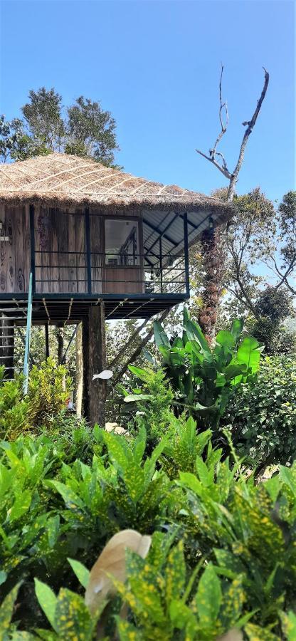 Appartement Noah'S Nest Tree House à Thekkady Extérieur photo