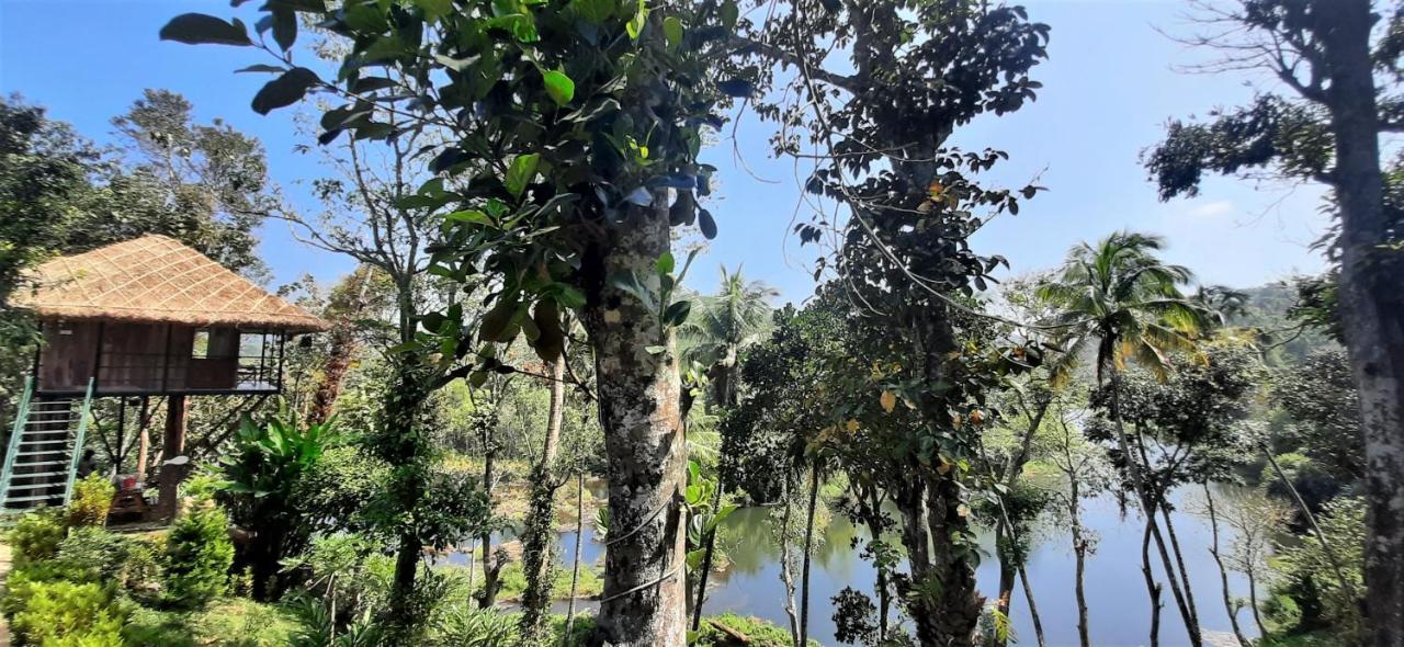 Appartement Noah'S Nest Tree House à Thekkady Extérieur photo