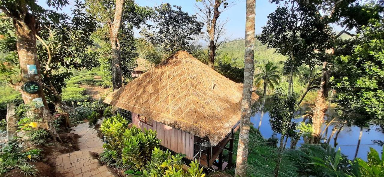 Appartement Noah'S Nest Tree House à Thekkady Extérieur photo