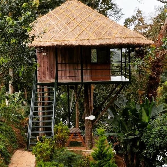 Appartement Noah'S Nest Tree House à Thekkady Extérieur photo