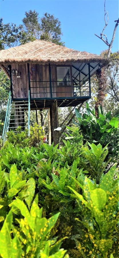 Appartement Noah'S Nest Tree House à Thekkady Extérieur photo