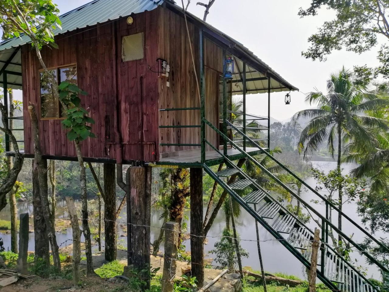 Appartement Noah'S Nest Tree House à Thekkady Extérieur photo