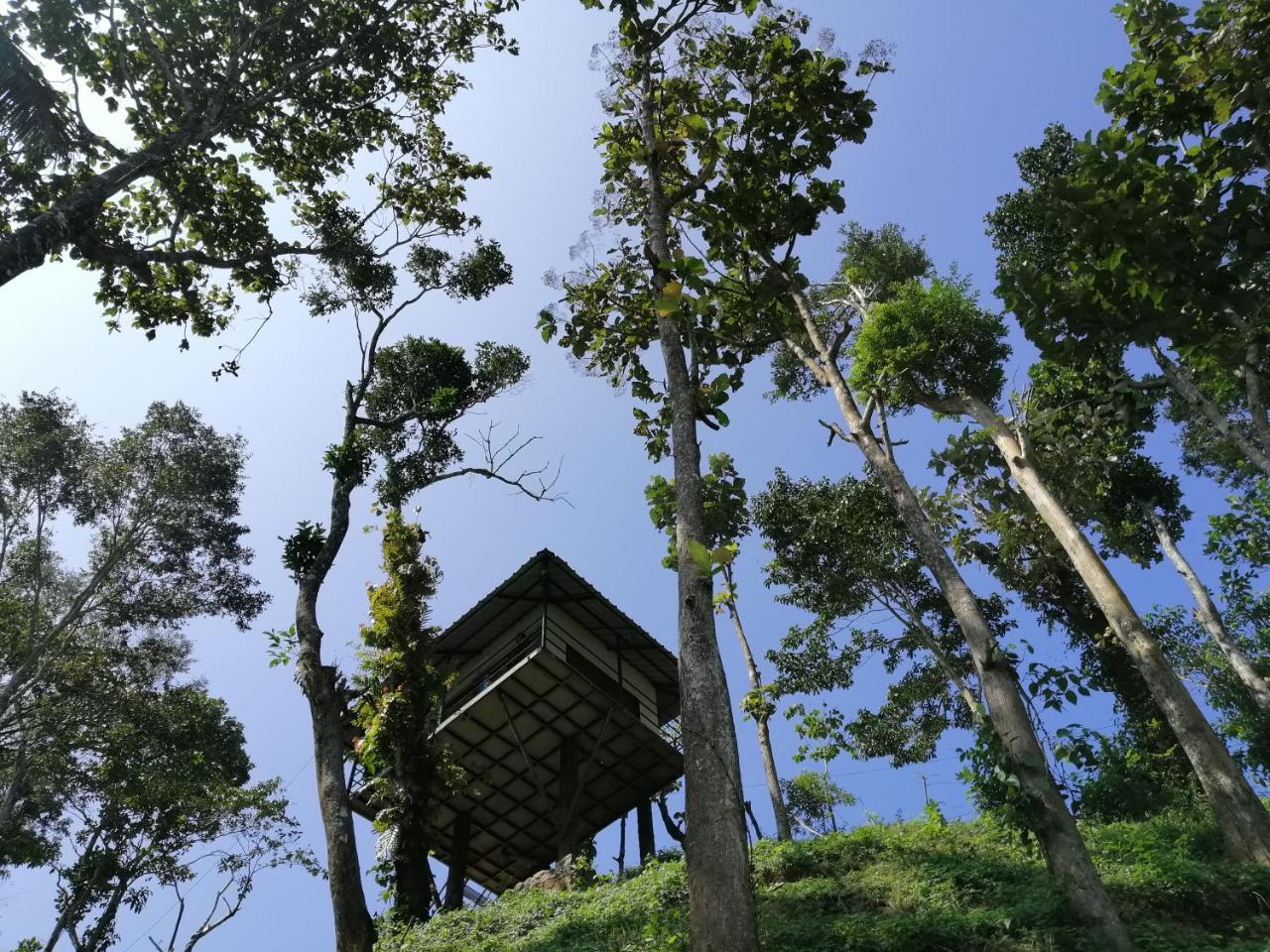 Appartement Noah'S Nest Tree House à Thekkady Extérieur photo