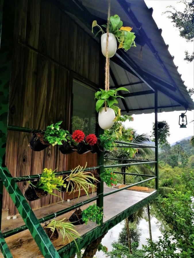 Appartement Noah'S Nest Tree House à Thekkady Extérieur photo